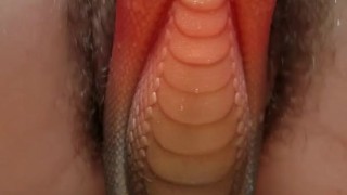 hairy pussy lips grip bad dragon