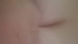 Boobies 