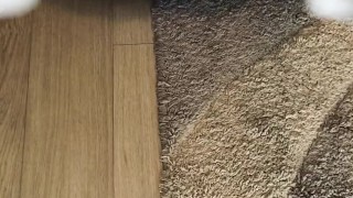 Doing some Weird Stuff - PLASTIC WRAPPED & DUCT TAPED ** I got Too HORNY **