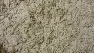 Just a little carpet piss