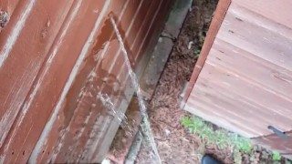 Taking a piss behind the shed in my work trousers