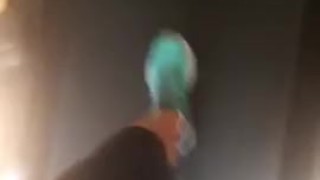Mistress Susanna Guerriero in palestra durante la corsa mattutina
