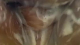 Black BBW Playing in Shower