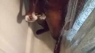 Fresh out first nut