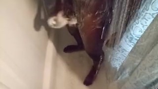 Fresh out first nut