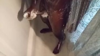 Fresh out first nut
