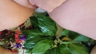 Piss cleaning some dusty fake flowers