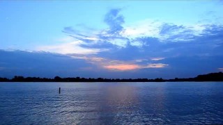 The Escort File - Very Rough