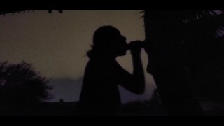 Sucked His Cock in a Rain Storm