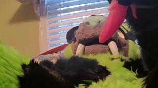 Kitty wants more