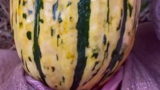 GOURD just too HUGE to fit in my pussy . (HD 11pro)