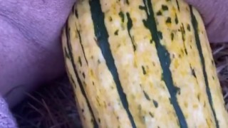GOURD just too HUGE to fit in my pussy . (HD 11pro)