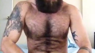 Bearded Bate 