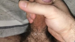 Morning glory