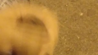 masturbation in the park