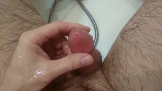 piss bathroom