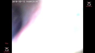 Spiel Maschinerie's endoscope throat explore