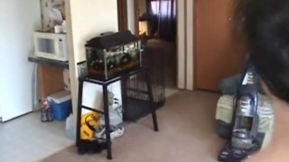 BBW vacuuming in the Nude Lots of big ass bending over shots - Not HD