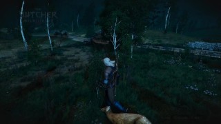 The Witcher 3 Episode 5: The Devil by the Well