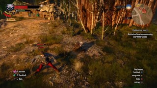 The Witcher 3 Episode 5: The Devil by the Well