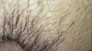 Pornhub - Pawg gets her pussy vibrated creamy