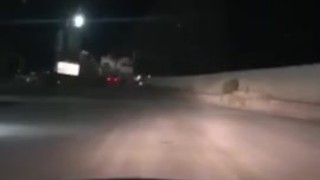 Playing with my pussy while patrolling at work