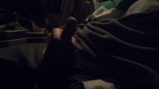 Nutting in the Car