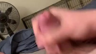 Something to show you 