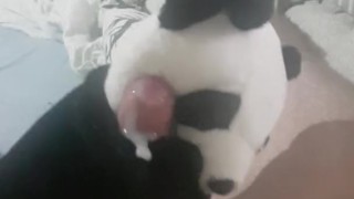 panda fun.