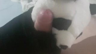 panda fun.