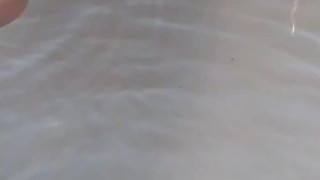 Cocky