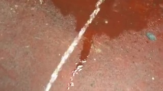 Peeing on the Basement Floor