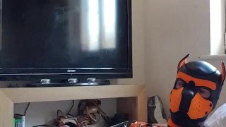 Latex pup cums after a long edging session.