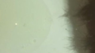 Sexy Girl Toilet 