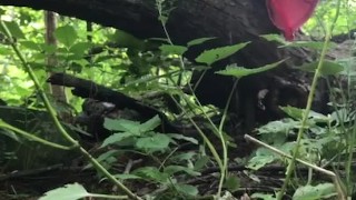 ARAB GIRL PUBLIC PISSING IN FOREST 