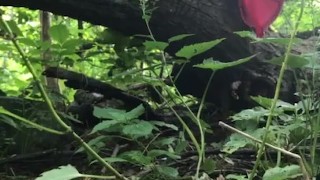 ARAB GIRL PUBLIC PISSING IN FOREST 