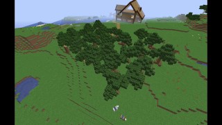 The Hub Episode 10: My Subscribers Make My Wood Grow (10th Episode Special)