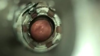 Fucking my Fleshlight 