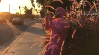 Pink Bitch Mating Call