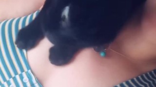 sfw my cute kitty blu