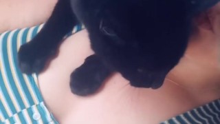 sfw my cute kitty blu