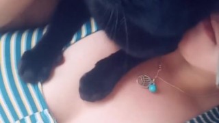 sfw my cute kitty blu