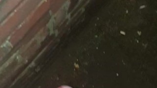 Quick cum in public... Almost caught at the beginning