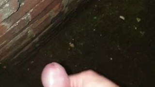 Quick cum in public... Almost caught at the beginning