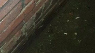 Quick cum in public... Almost caught at the beginning