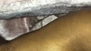 Ebony orgasm 