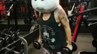 Cardio funny bunny