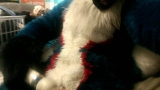 Quick little fursuit wanding vid