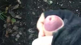 Quick stroke in the forest with an incredible view