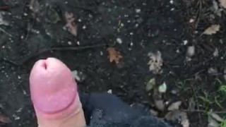 Quick stroke in the forest with an incredible view